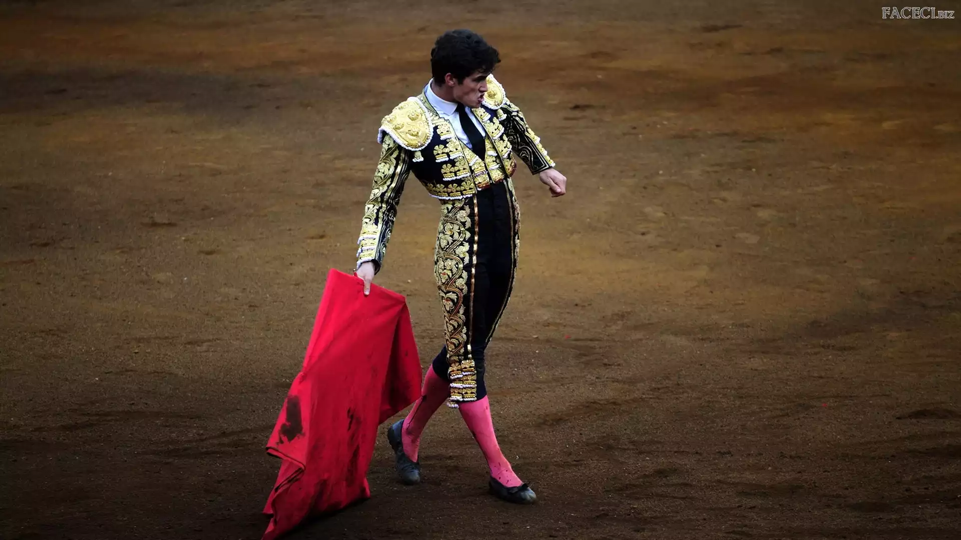 Hiszpania, Torreador, Corrida